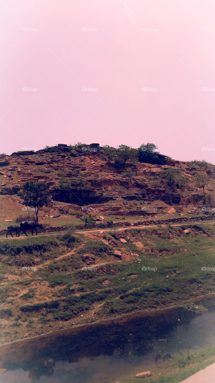 Parvati region Chakia Chandauli India