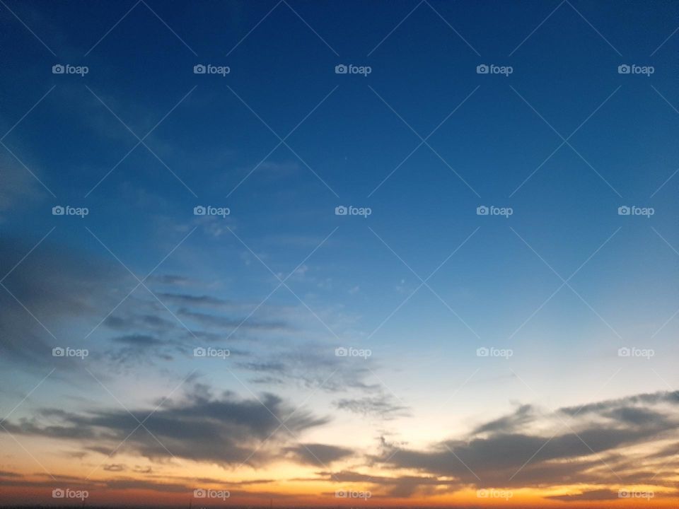 Please, I want you to support me, I need your help, I am poor, I need dollars, please