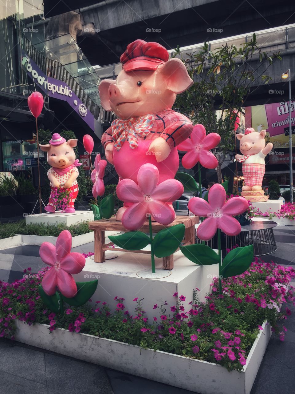 Super cute pink piggies always make you smile. Warm sunny day. Walking the streets of Bangkok. 