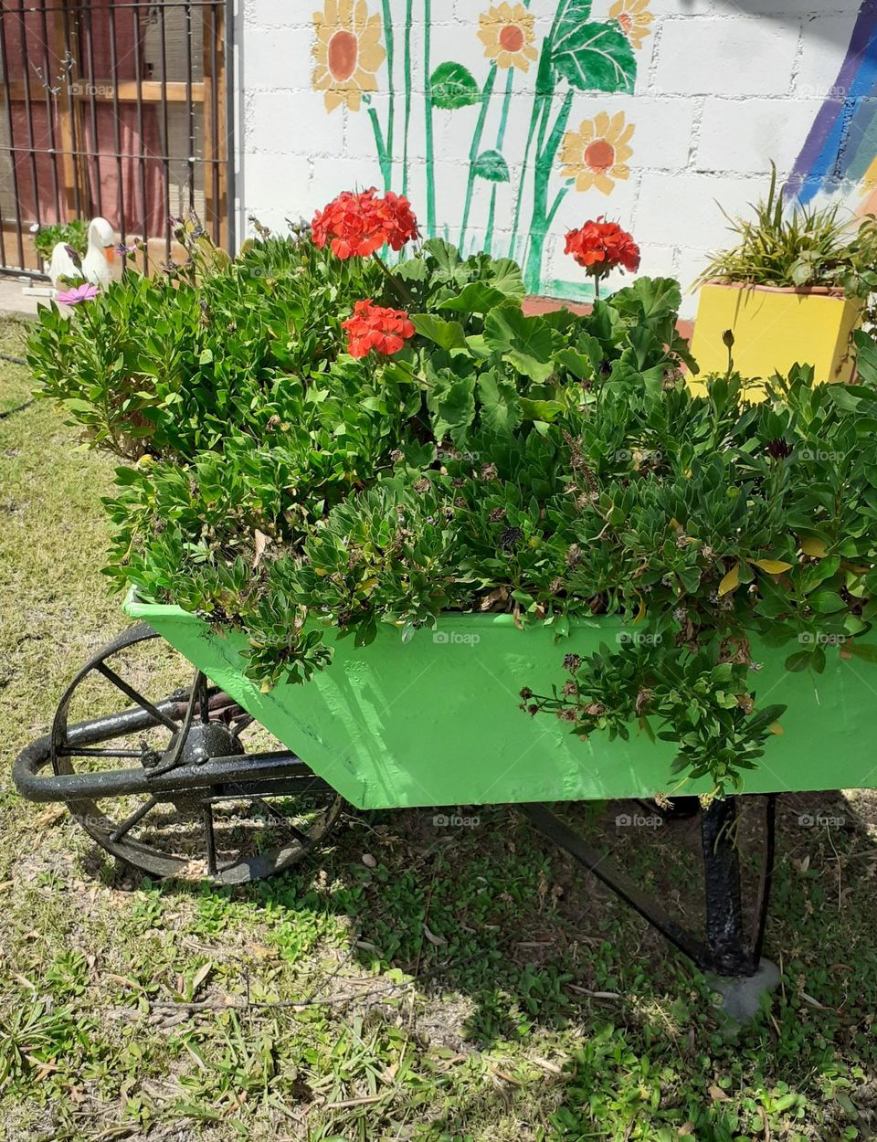 carretilla con plantas y flores