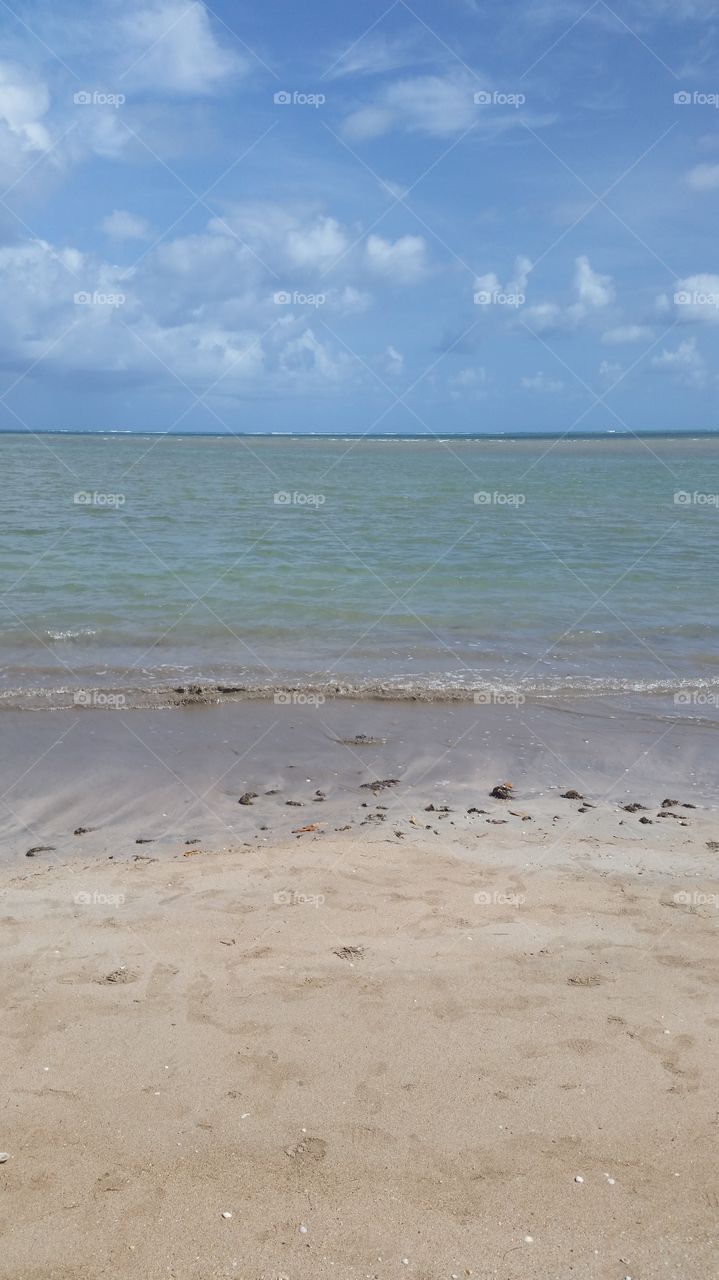 praia ponta de mangue