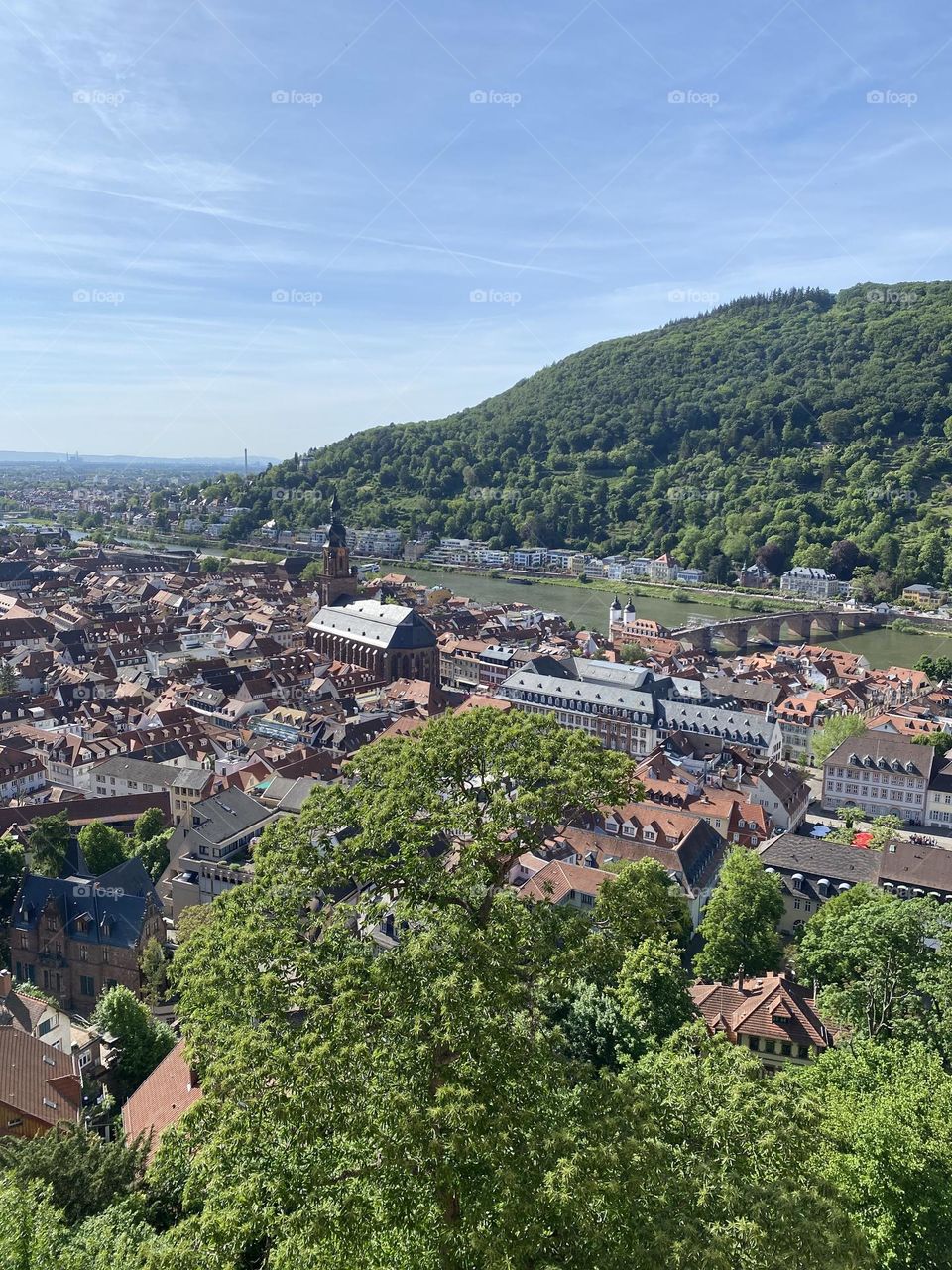 Heidelberg 