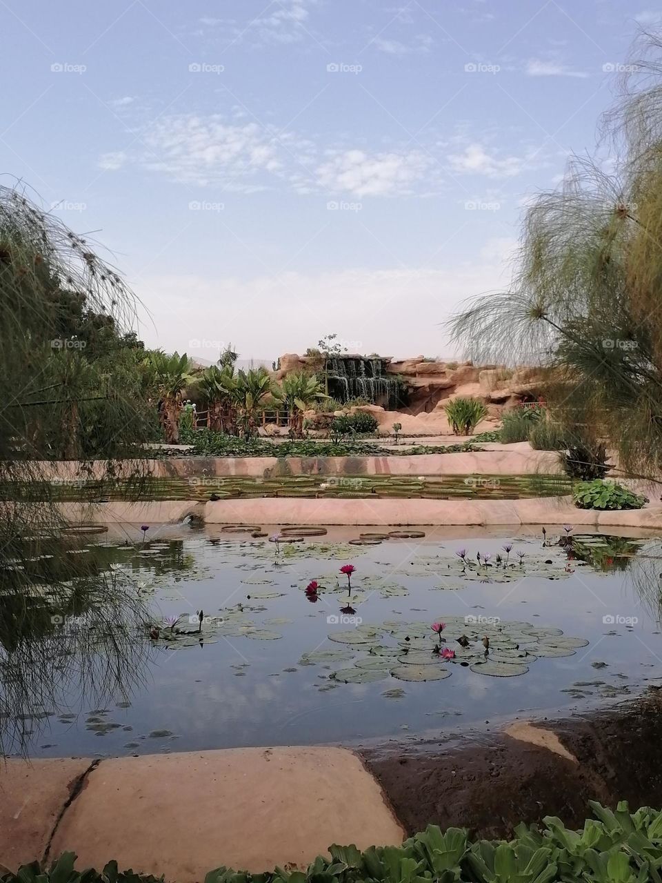 Park in Agadir, Morocco