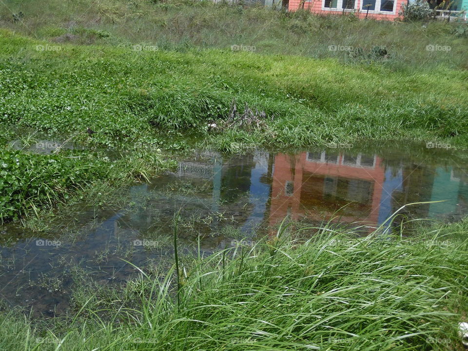 wet land. This is a vacation photo that I took while traveling to port Aransas Texas. 👣 🚶 🏃 🔥 💨