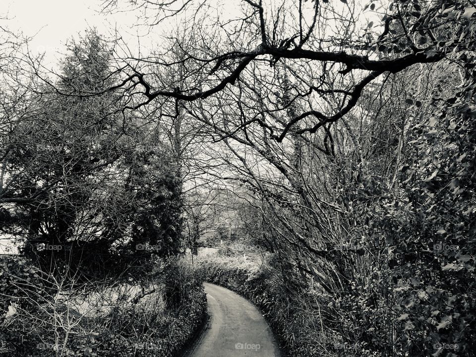 It’s a rather gloomy day in Devon, but still ok for rambling, so l turned my photo to black and white mode.
