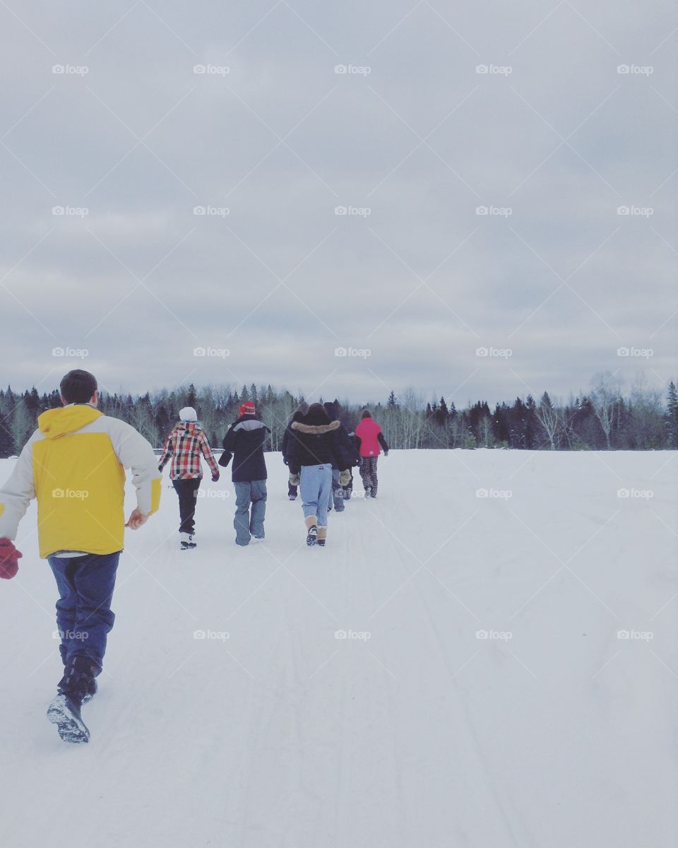 Group of friends walking into a forest in the winter