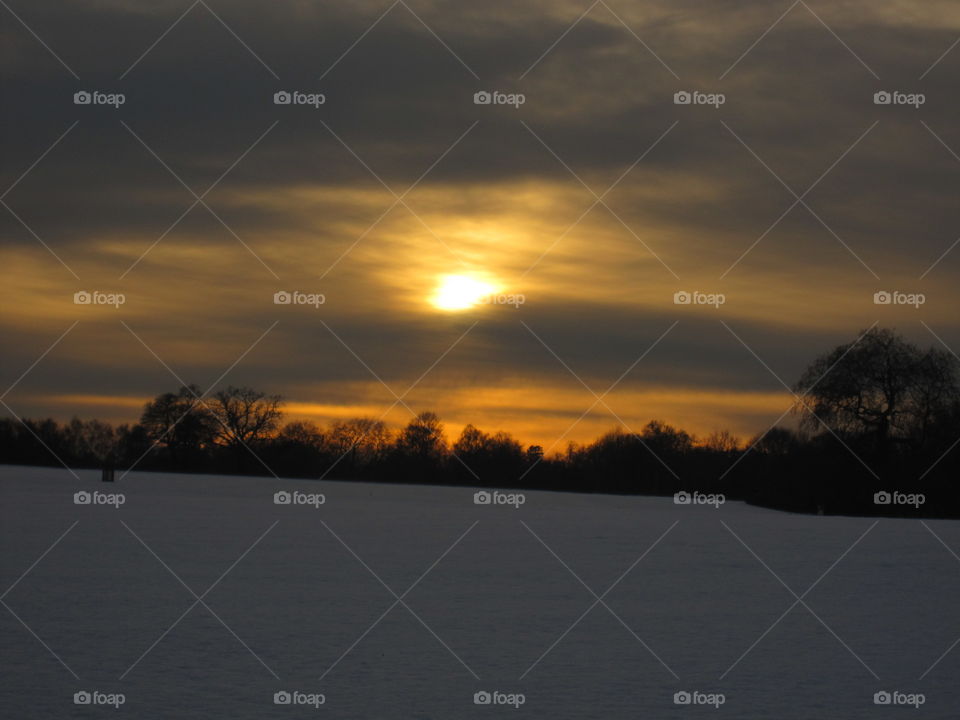 Sunset, Dawn, Landscape, Evening, Tree