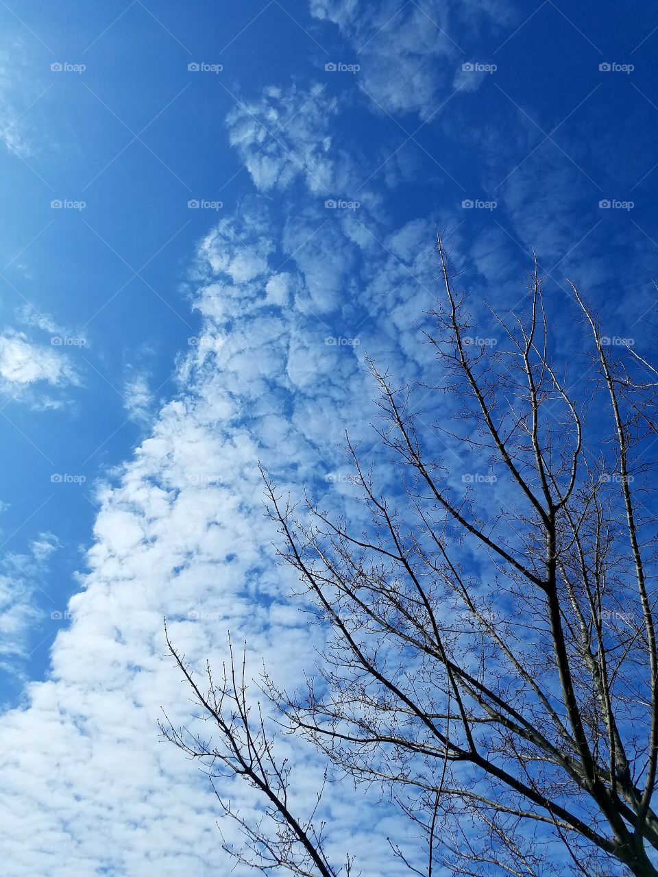 spring sky 2