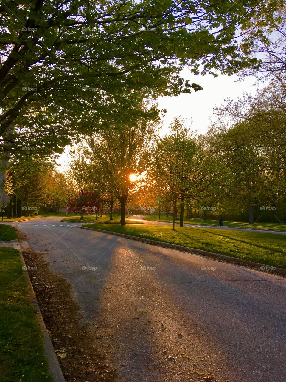 A Neighborhood run with nature and an orange sun-hit the pavement