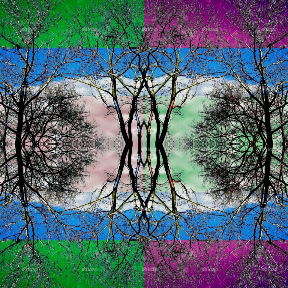 Trees under mostly clear skies in Bayside NY on a warm April evening