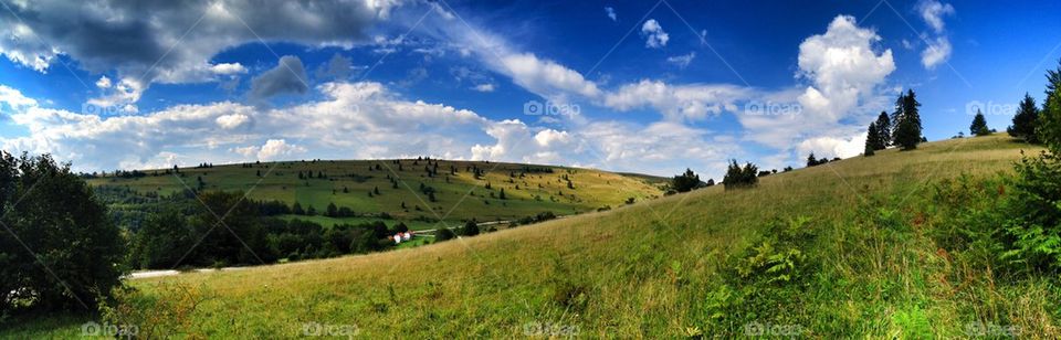 nature panoramio