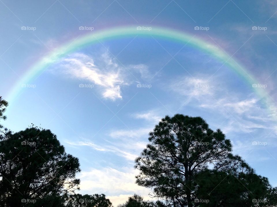 Beautiful full rainbow crowns the sky.