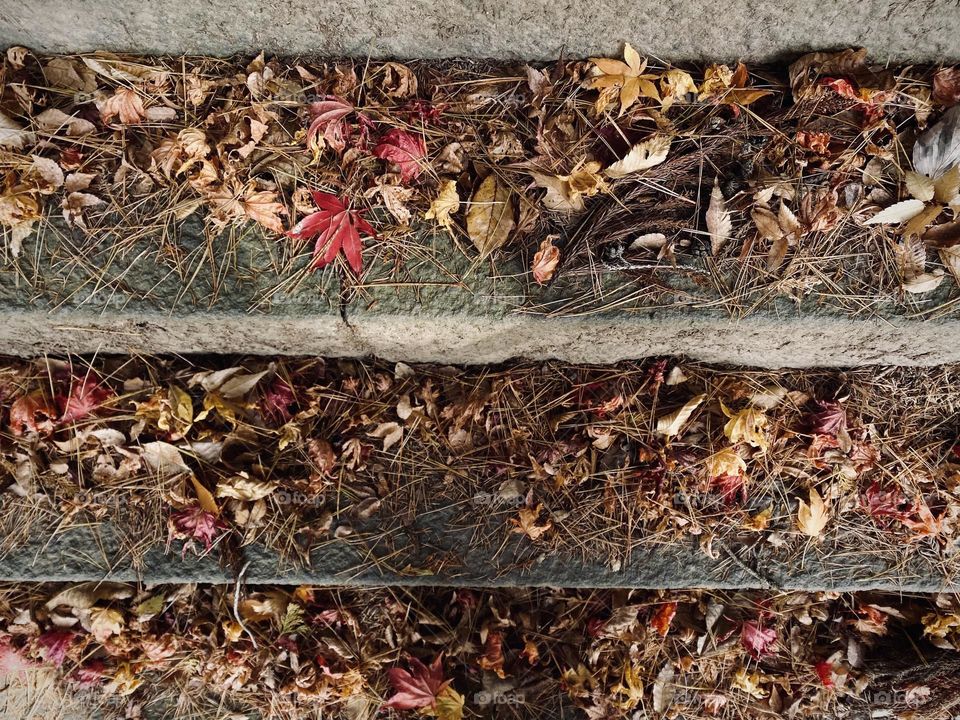 Autumn leaves on cobblestone stairs