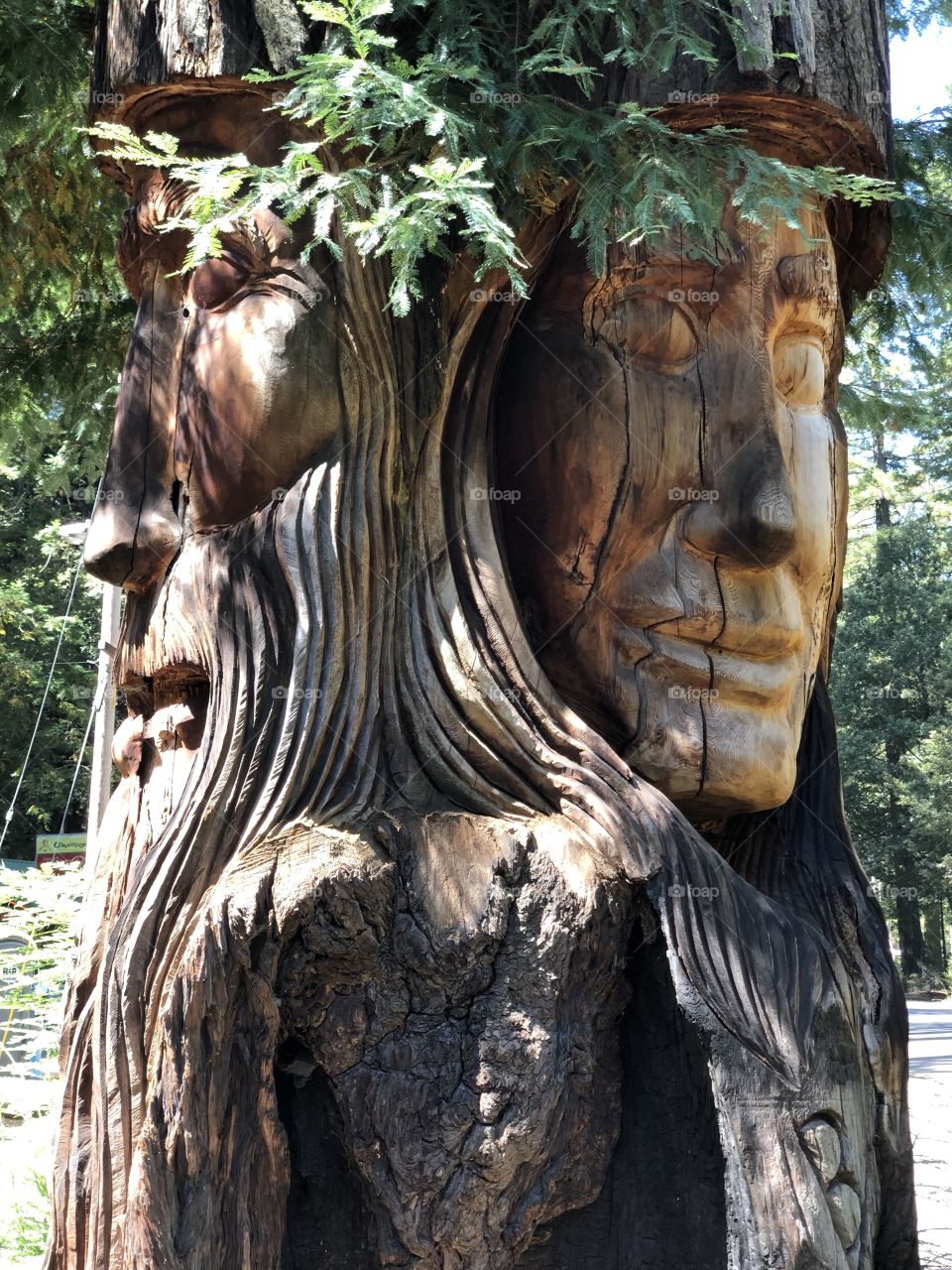 Tree Carving