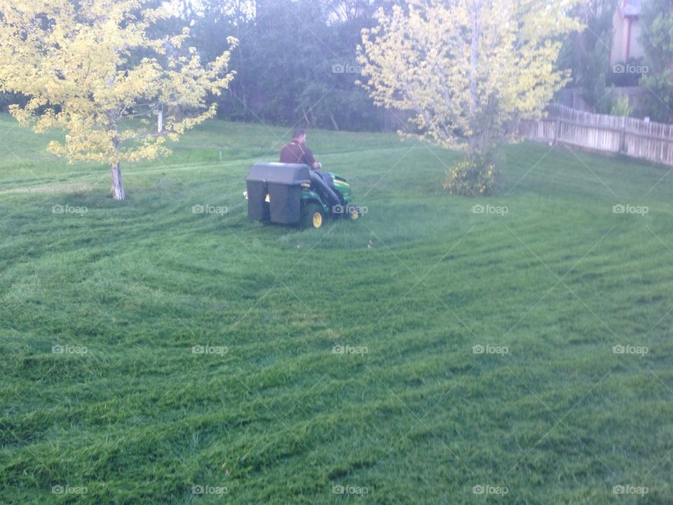 Mowing