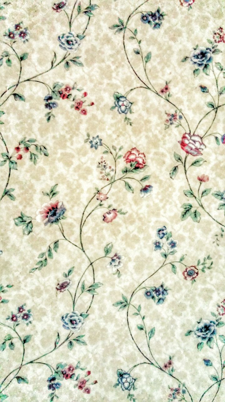 Flower, Wallpaper, Pattern, Desktop, Floral