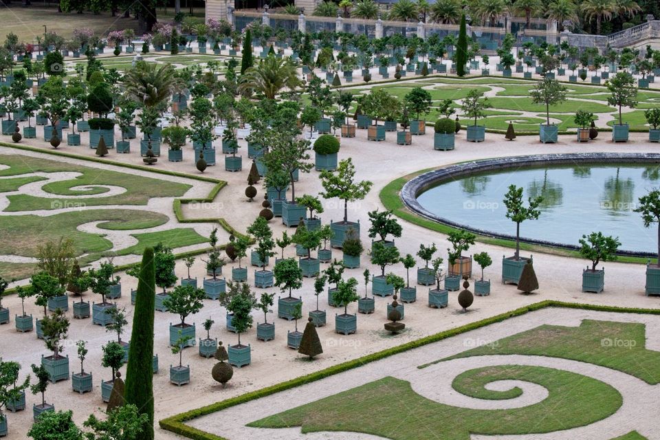 gardens of the palace