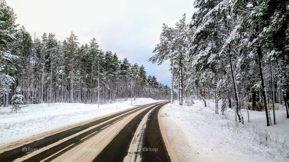 Winter landscape ❄️🤍