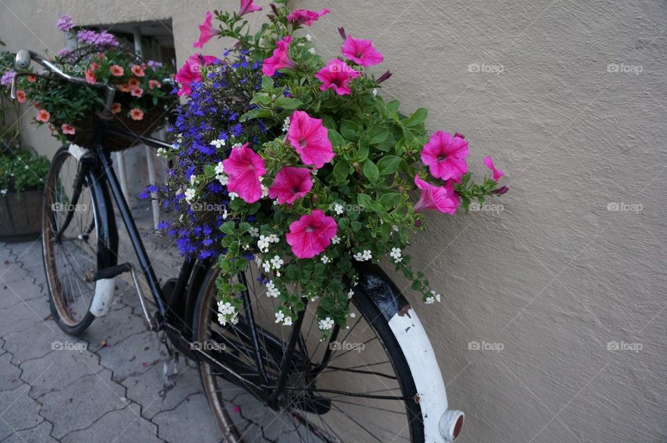 Covered old Bicycle 