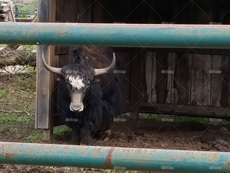 Driving the Back Roads and enjoying everything around us