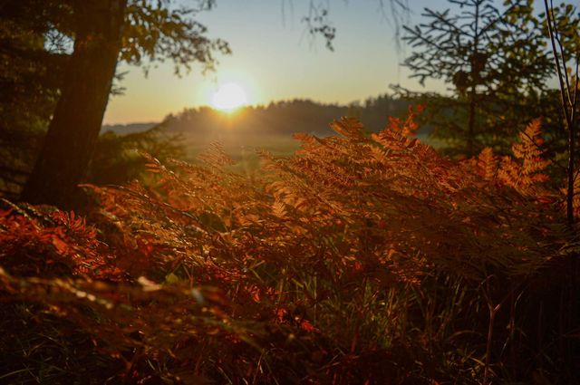 Sunrise.