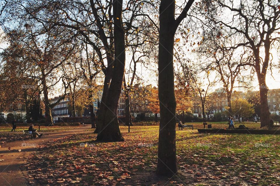 Autumn in London 