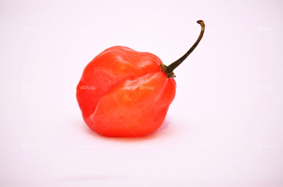 Scotch bonnet pepper