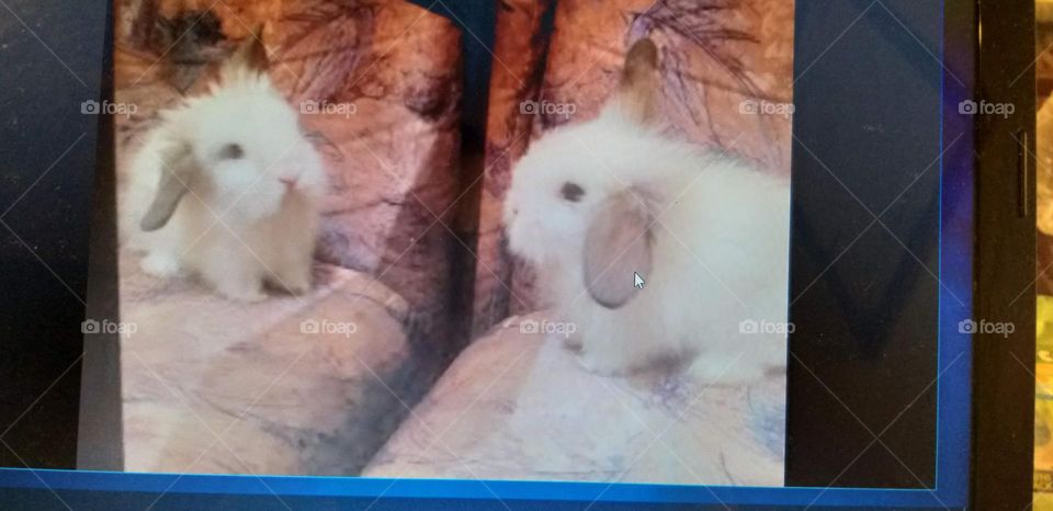 She was wondering was in the mirror 🪞