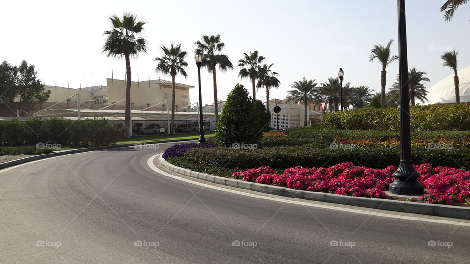 Street with beautiful landscaping