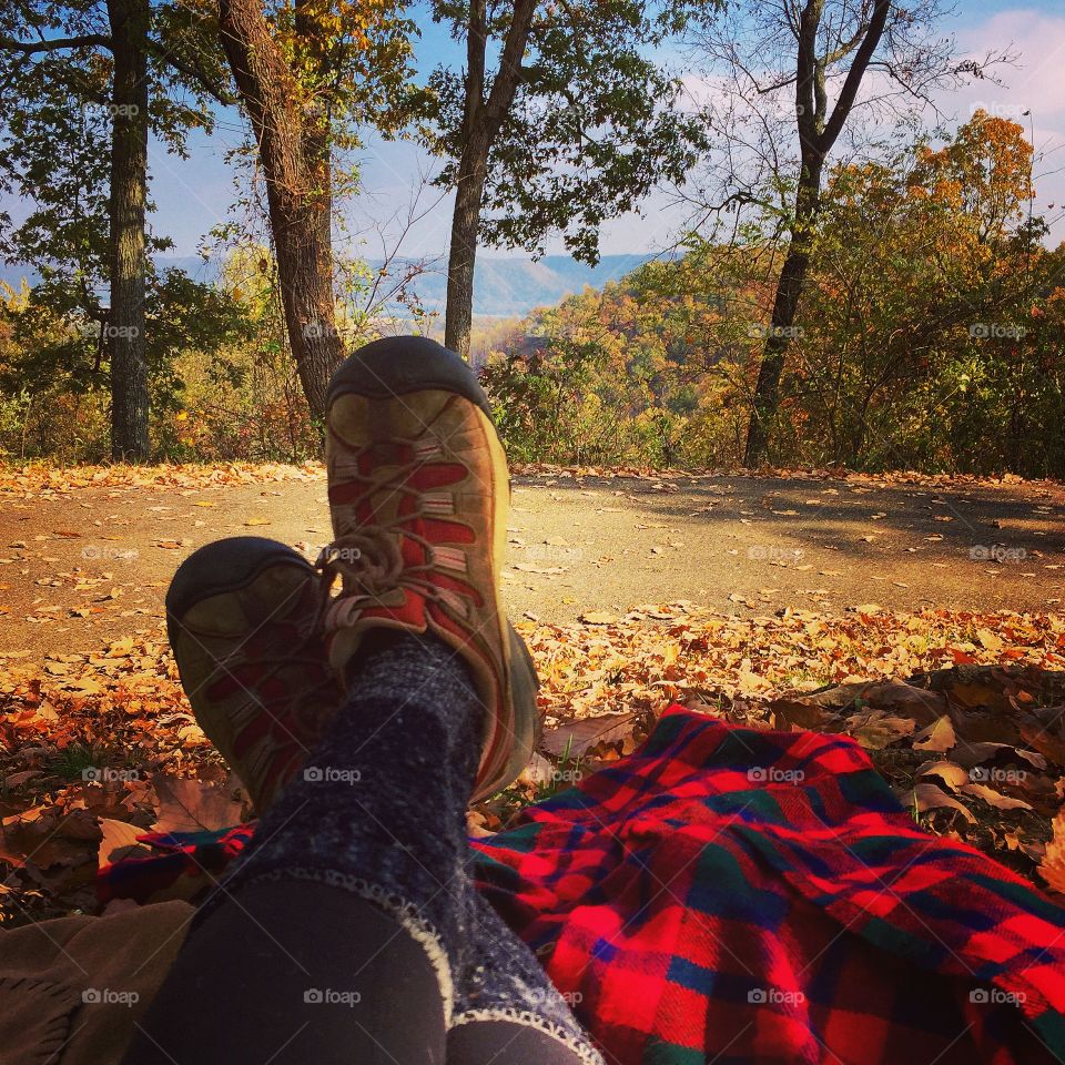People, Girl, Adult, Tree, Woman
