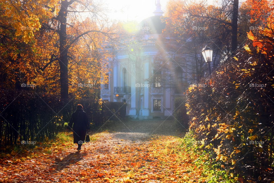 Kuskovo manor at autumn, Moscow, Russia
