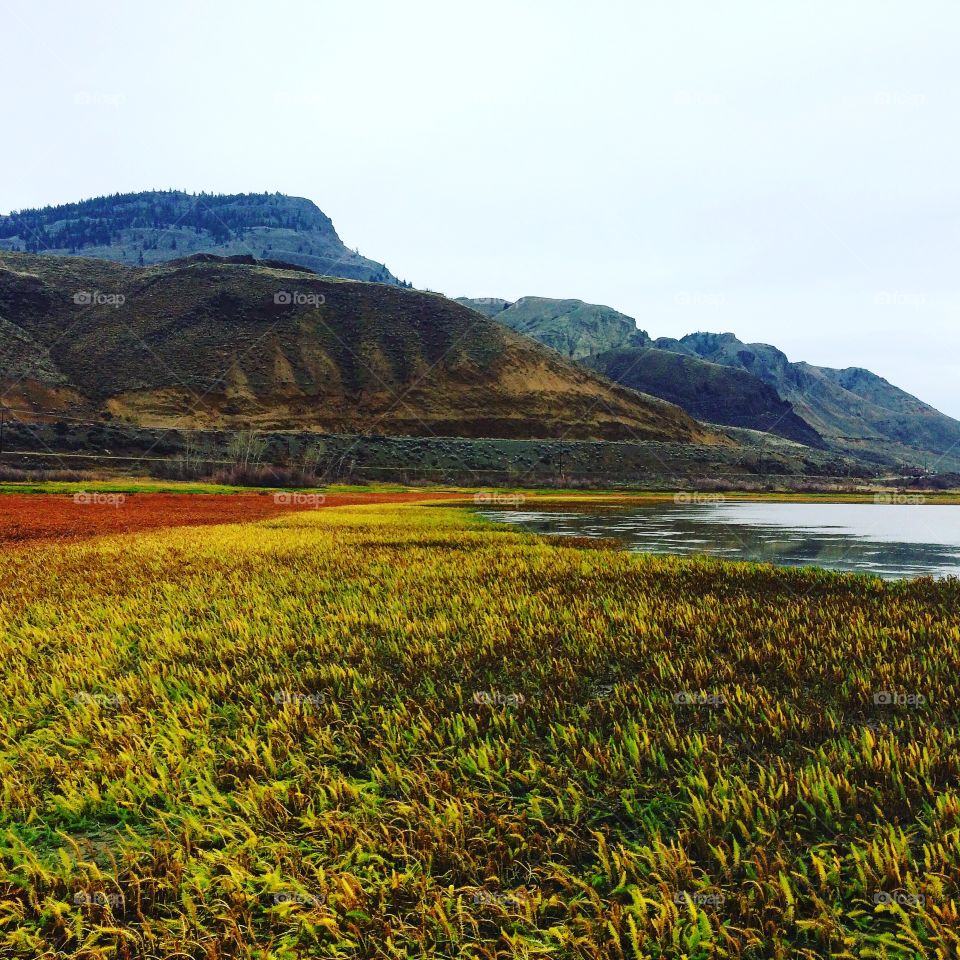 Cloudy fall day in Kamloops! 