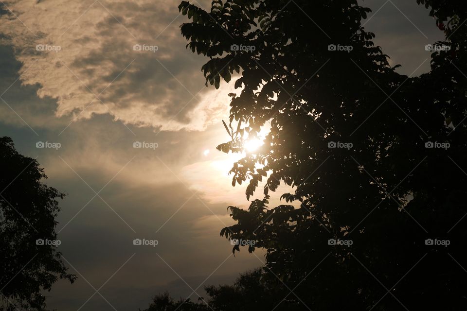 beautiful view sunset