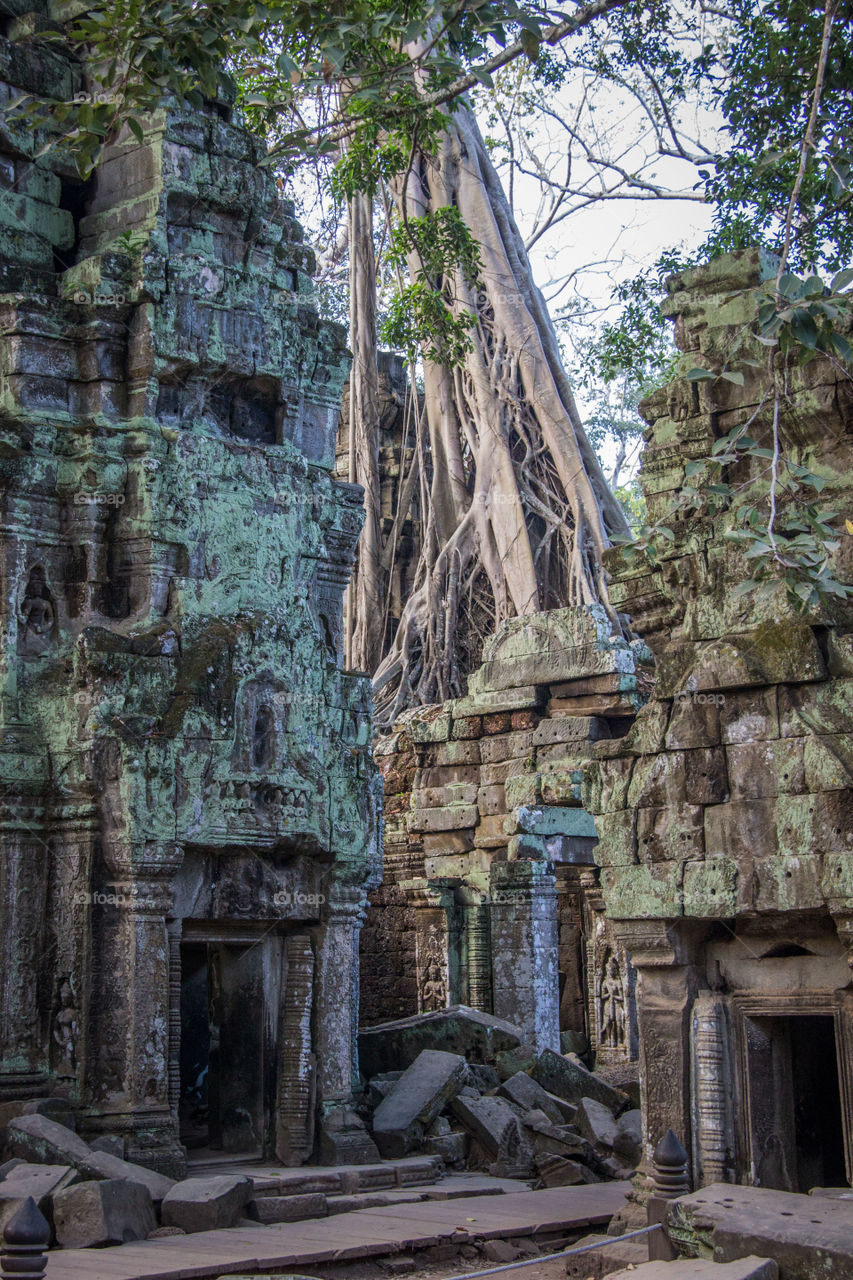 Ta Phrom 