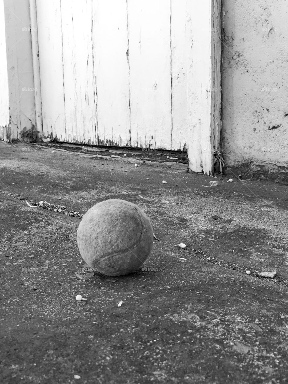 Lone tennis ball lost and found one in black and white
