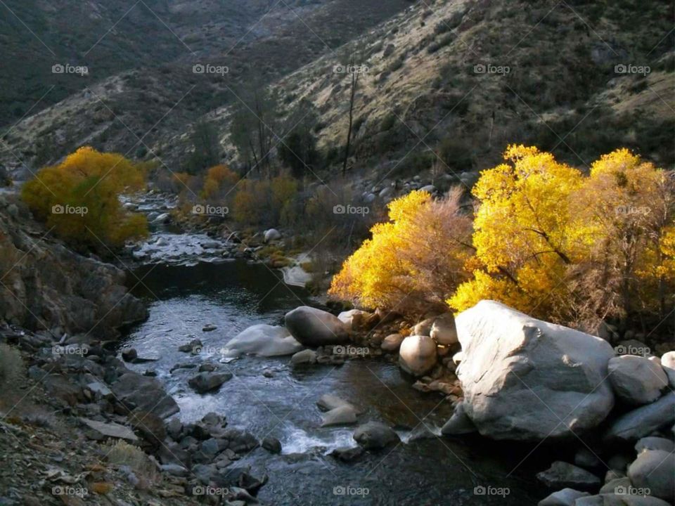 Autumn river landscape in Kern, California