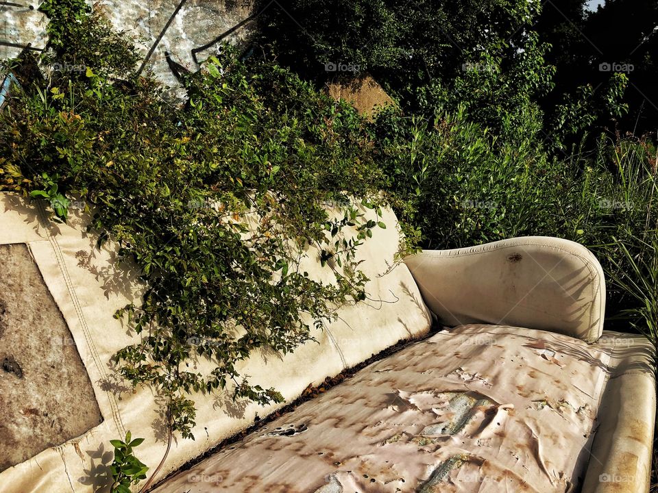 Old abandoned sofa covered in vegetation 