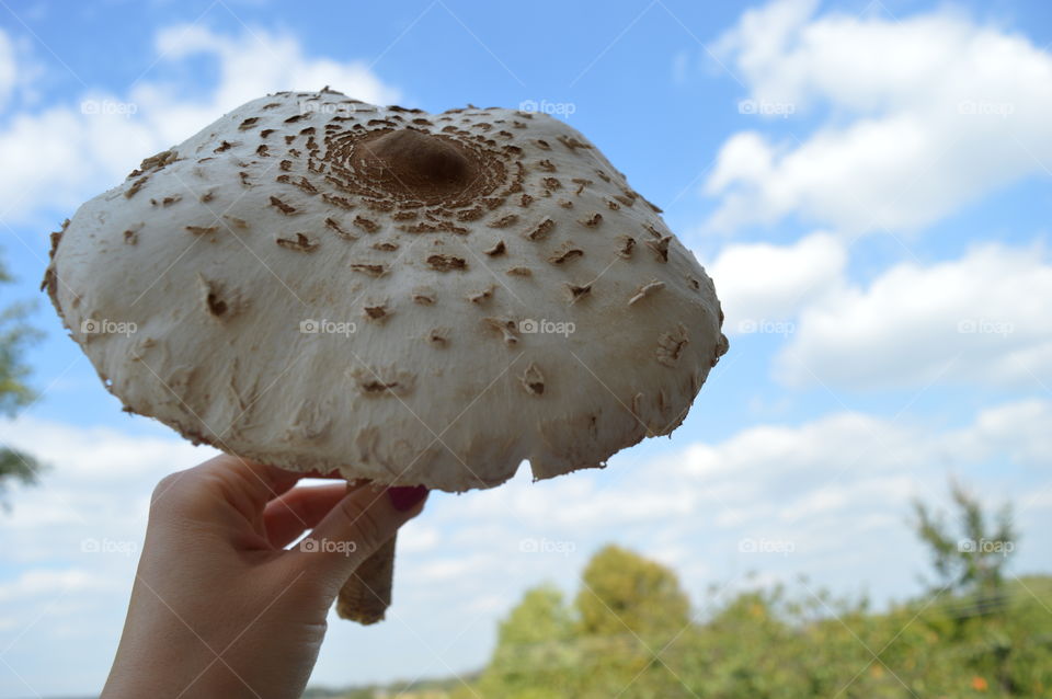 HOLDING A BIG MUSHROOM