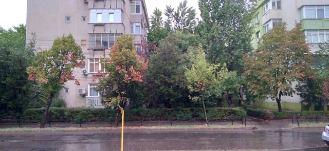 Rainy Day In Colentina