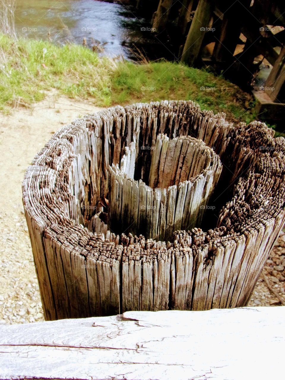 Rotting log by railroad tracks