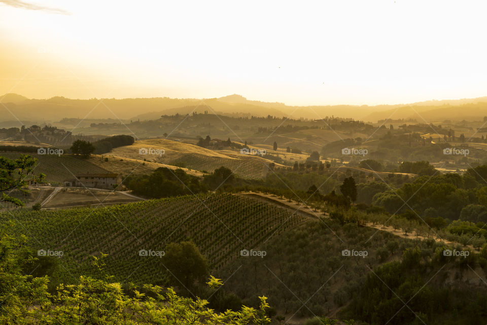 Tuscany & Marche