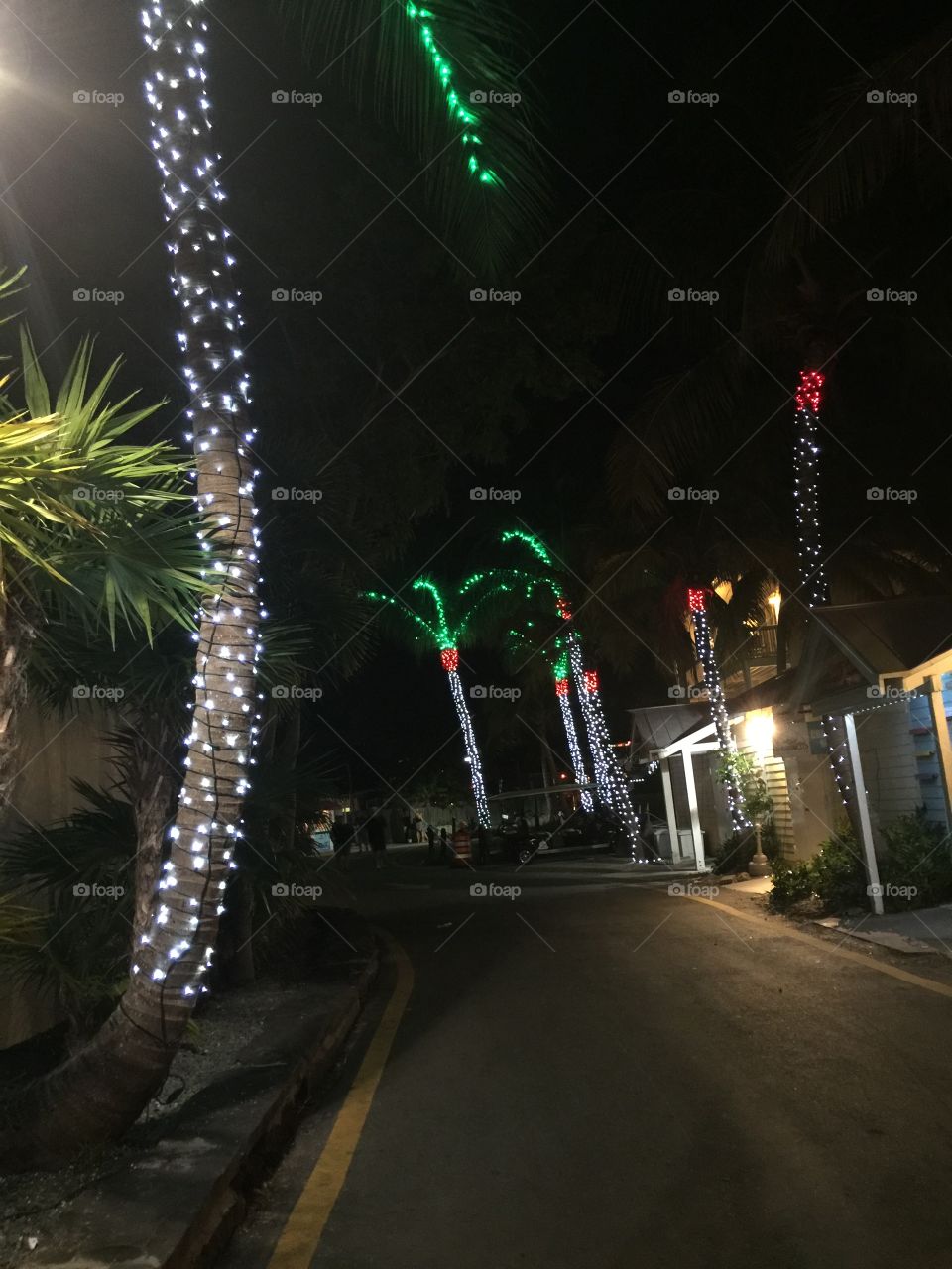 Christmas lights on street in Key West, Florida, USA