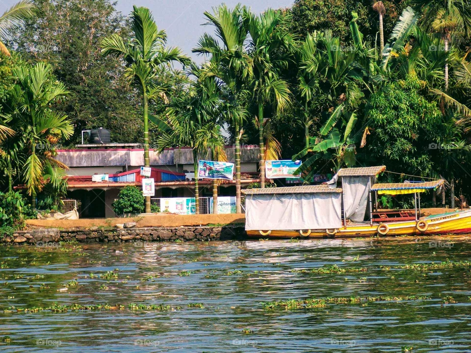 boats