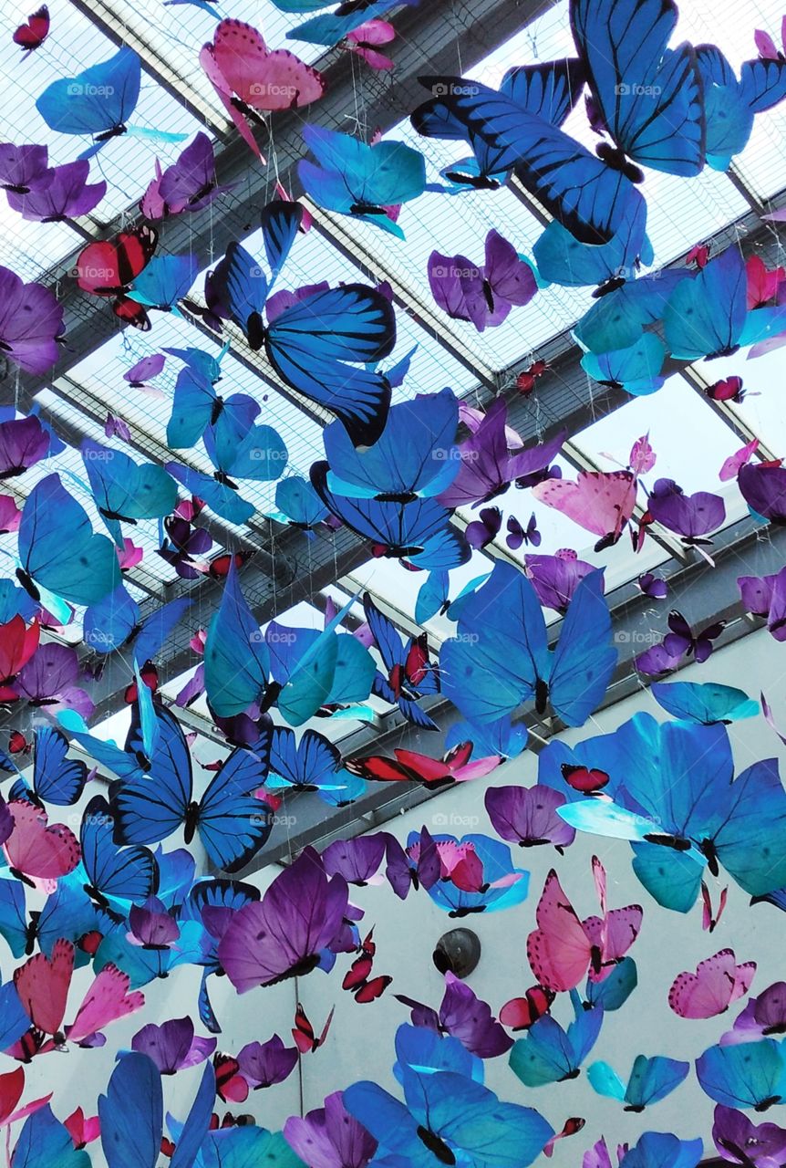 Butterflies decoration