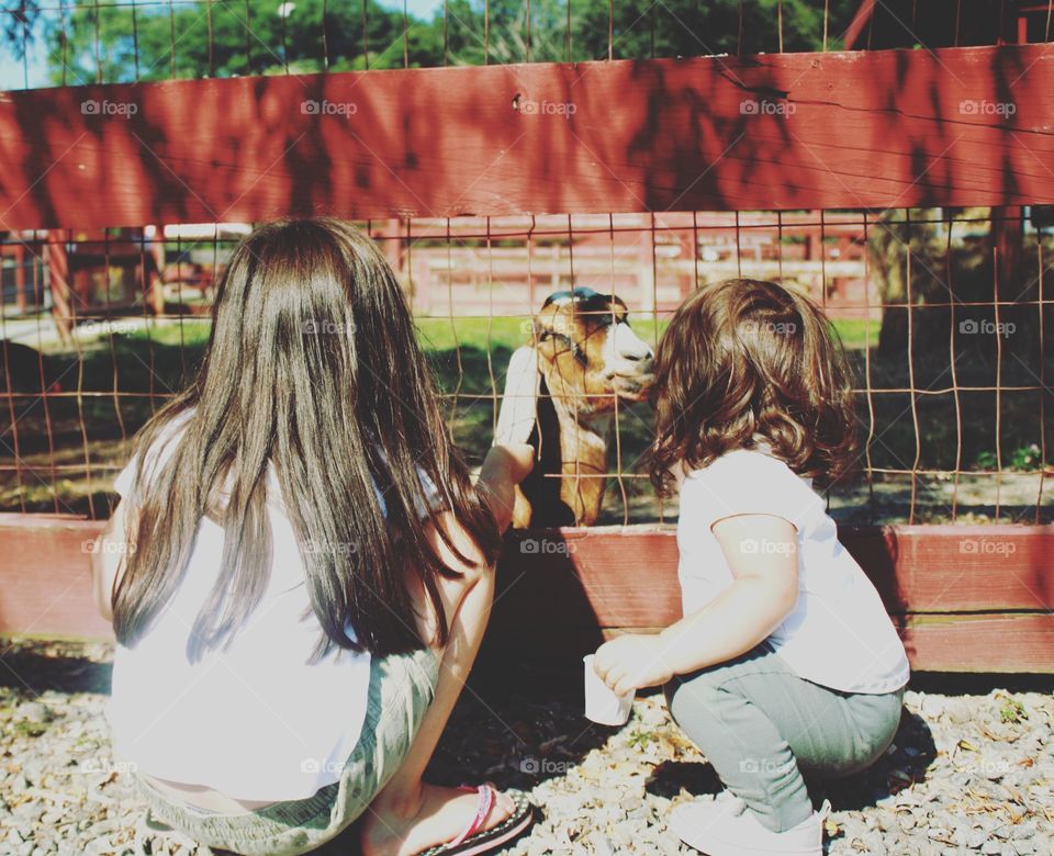 Children at petting zoo