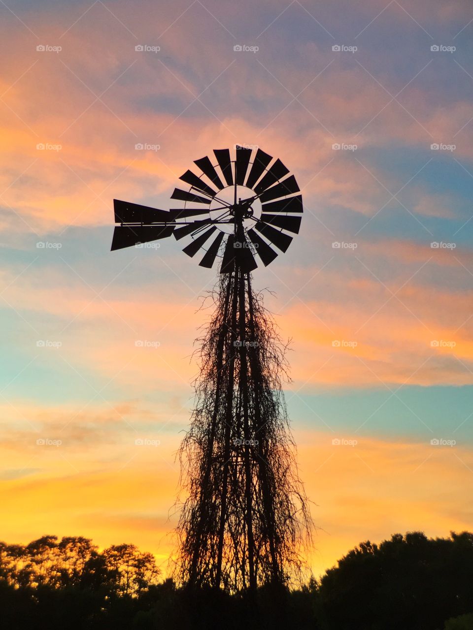 Windmill in the West