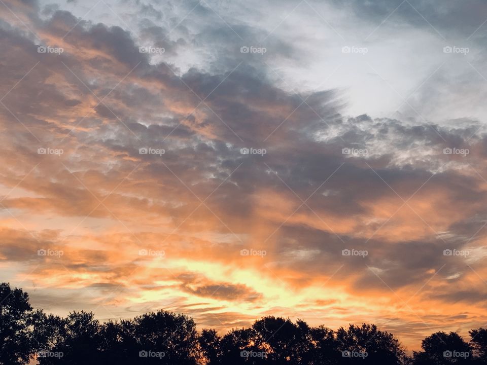 A fiery sky with visible sun rays through clouds over a line of trees - landscape