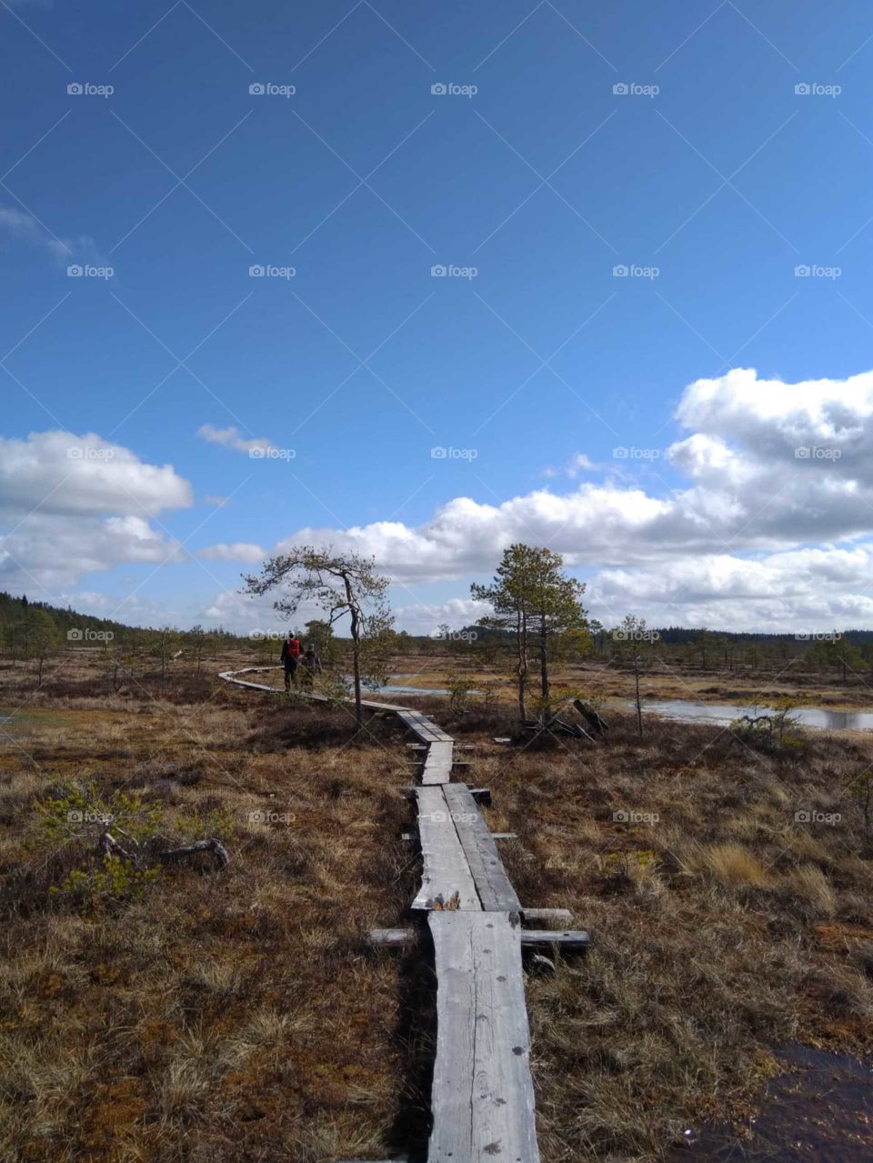 Finnish nature is in so many forms