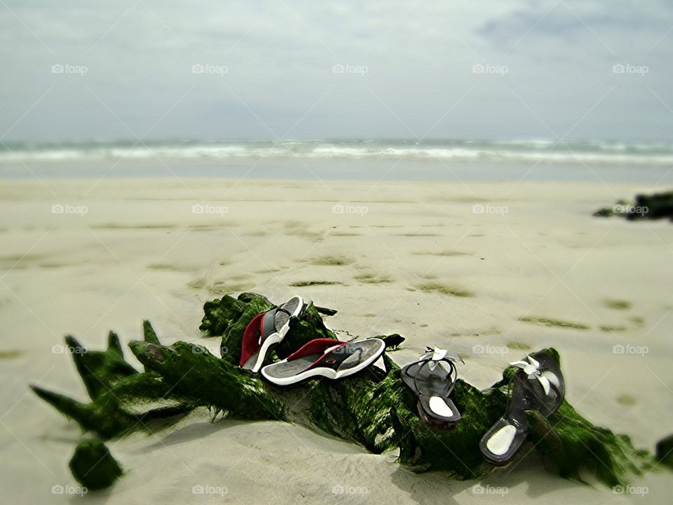 galapagos islands trip