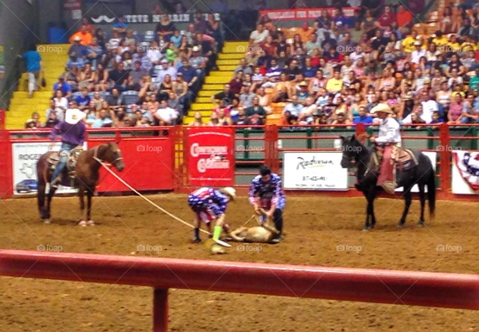 Work as a team. Team roping at a rodeo 